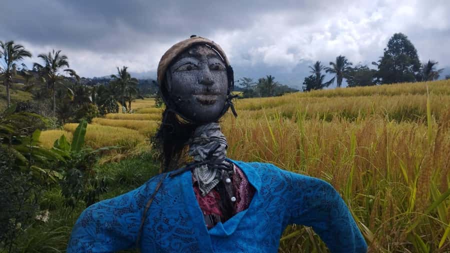 Bali: Jatiluwih Full-Day E-Bike and Trekking Tour - The Jatiluwih views: terraces plus four extinct volcanoes