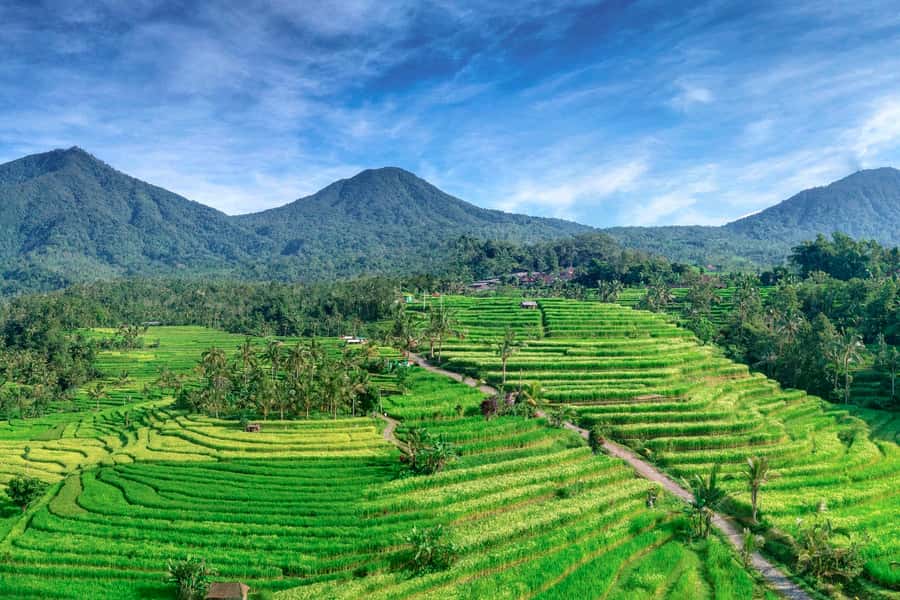 Bali: Jatiluwih Full-Day E-Bike and Trekking Tour - E-bike comfort: what medium difficulty means in real life