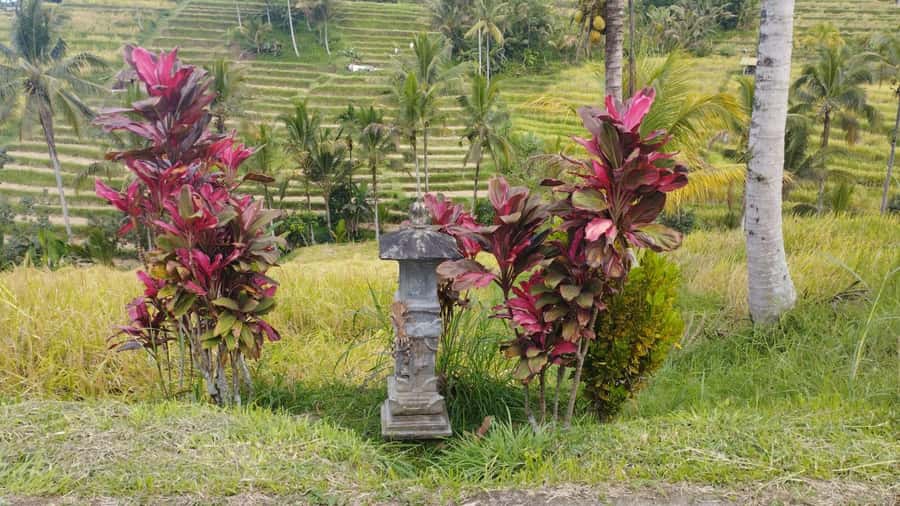 Bali: Jatiluwih Full-Day E-Bike and Trekking Tour - Pura Luhur Batukaru to Jatiluwih: a 2-hour e-bike that actually feels like a route