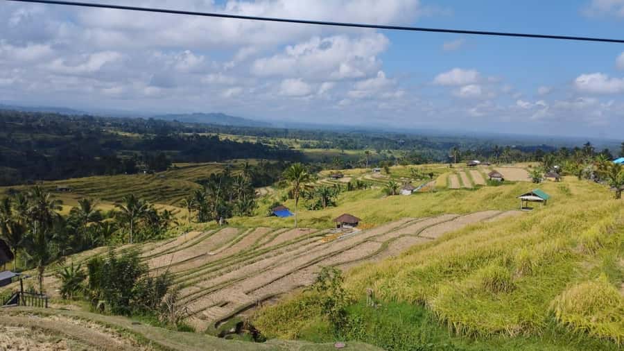 Bali: Jatiluwih Rice Terraces 1 Hour Electric Bike Tour - Bamboo forest segments and why the photo stops matter