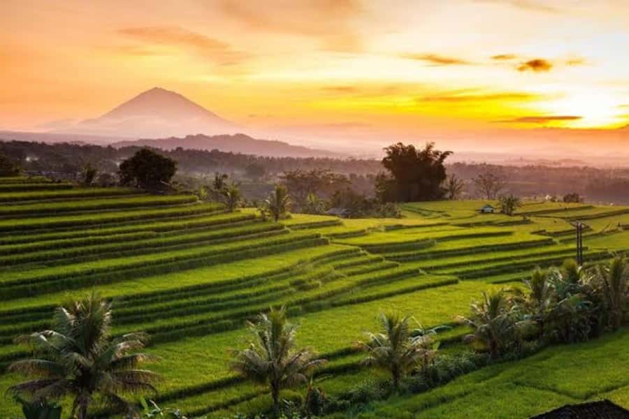 Bali: Jatiluwih UNESCO, Bratan Lake, Iconic Gate & Tanah Lot - Ulun Danu Beratan Temple on Lake Bratan: meru towers, lake goddess, and photo-worthy calm