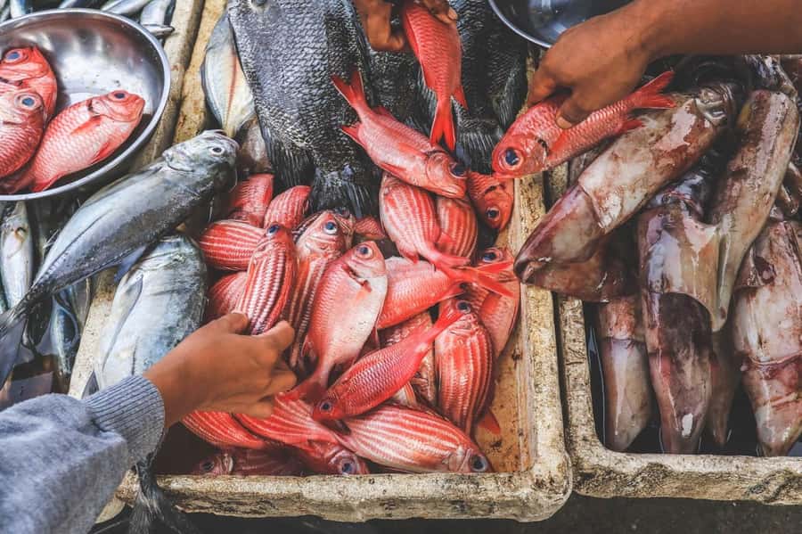 Bali: Jimbaran Seafood Market Tour with Sunset Dinner - Why Jimbaran Market plus a beach BBQ makes sense