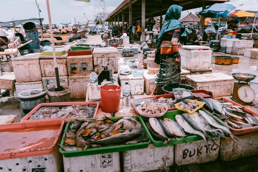 Bali: Jimbaran Seafood Market Tour with Sunset Dinner - From market to grill: how the cooking part really works