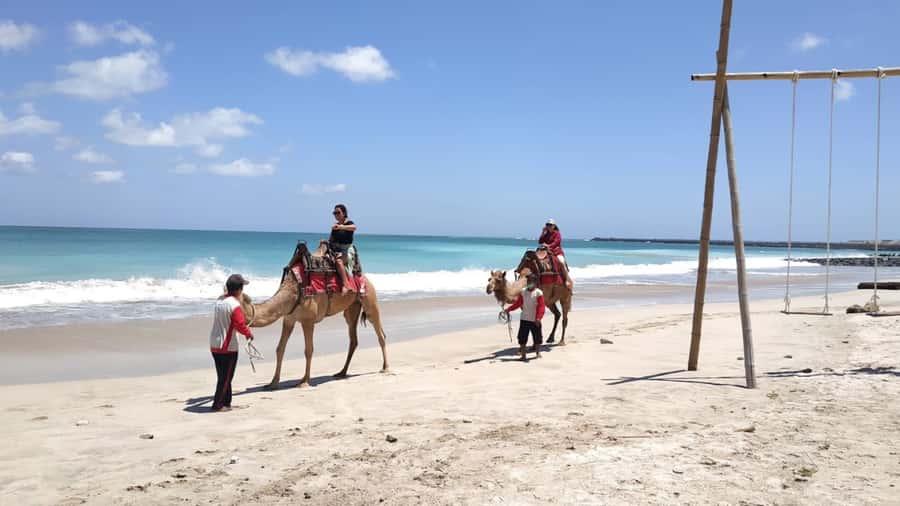 Bali: Kelan Beach Camel Rides Experiences - The ride along Kelan Beach: what the 15 to 30 minutes feels like