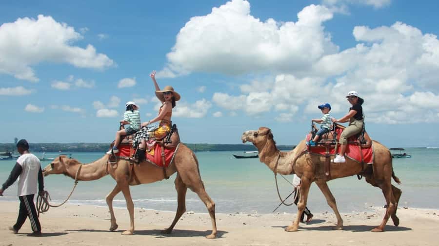 Bali: Kelan Beach Camel Rides Experiences - Included essentials you will appreciate in the moment
