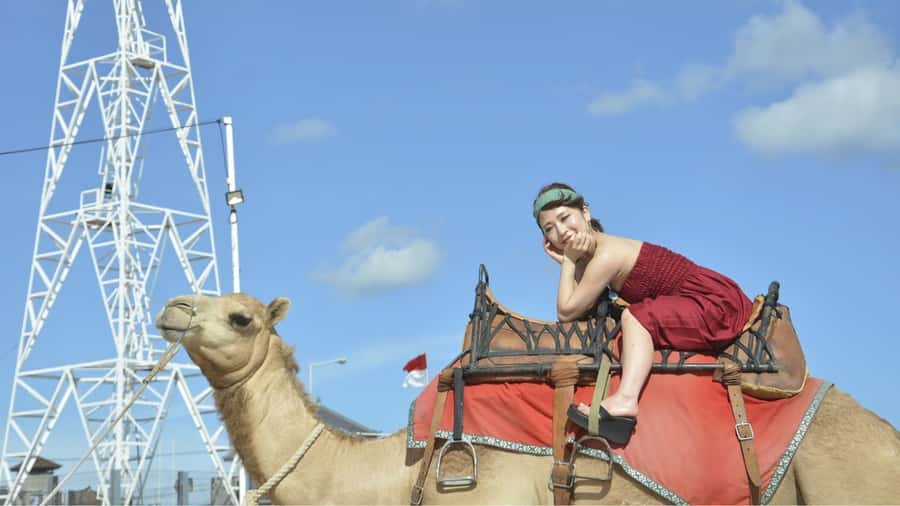 Bali: Kelan Beach Camel Rides Experiences - Quick, realistic tips to make your ride better