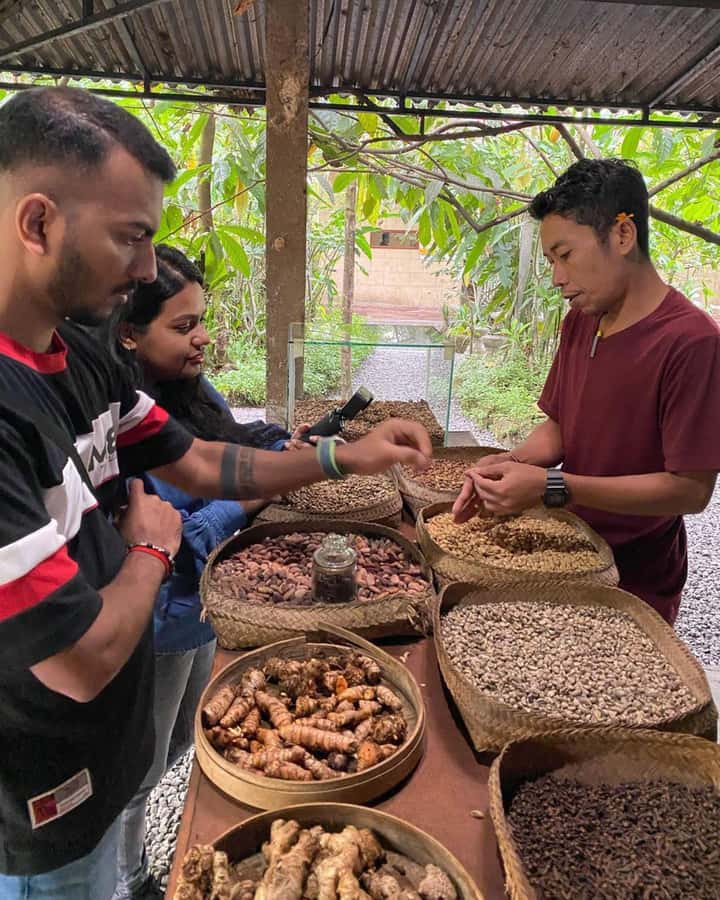Bali: Kintamani Cafe, Waterfall, Temple and Cretya Ubud Tour - Private A/C car, licensed English driver, and why the drive matters