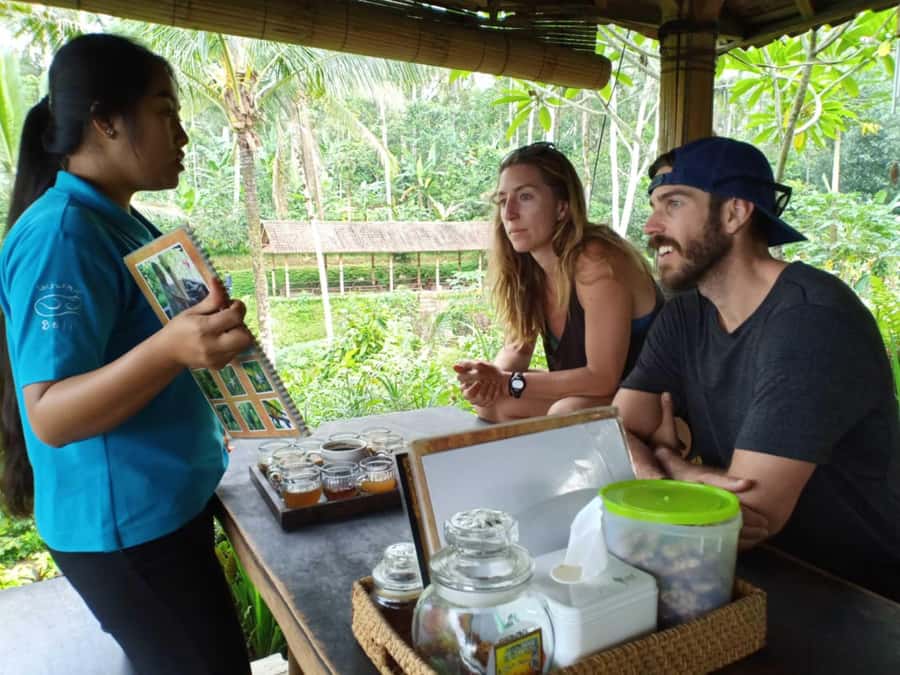 Bali: Kintamani Cafe, Waterfall, Temple and Cretya Ubud Tour - Price and value: what $35 gets you, and where extras can appear