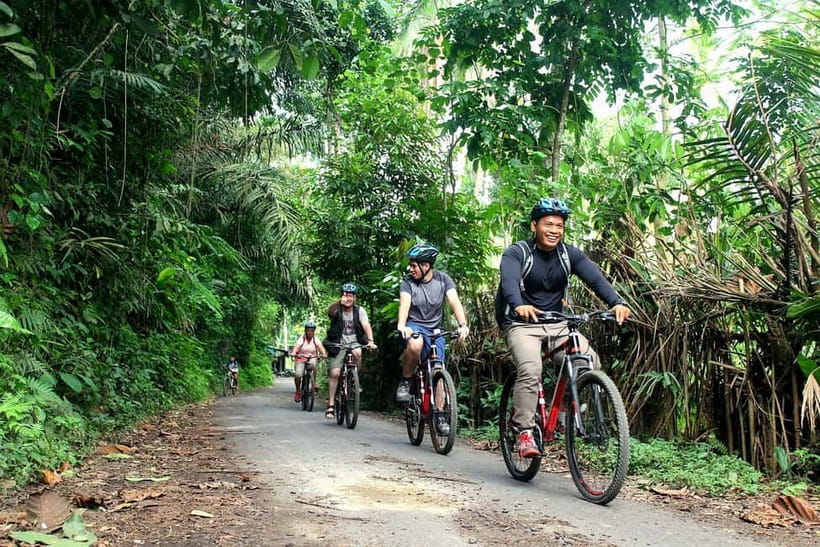 Bali: Kintamani Downhill Bike Tour, Jungle and Waterfalls - Key points before you pedal