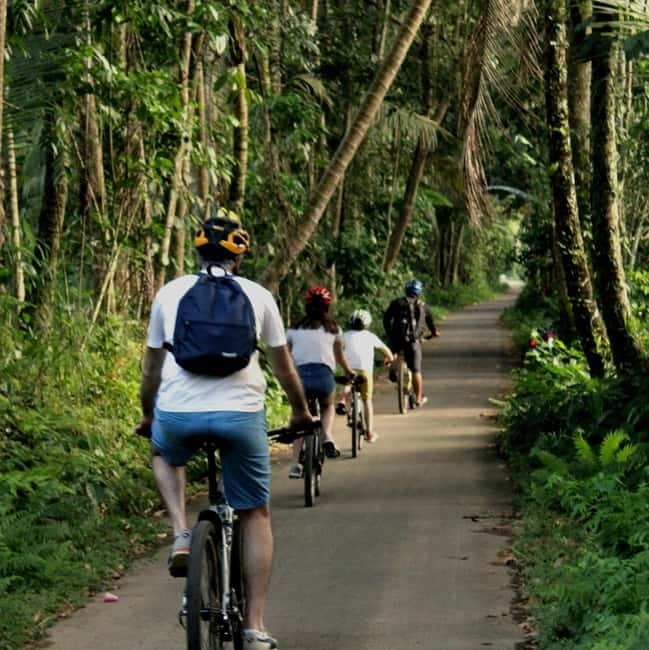 Bali: Kintamani Downhill Bike Tour, Jungle and Waterfalls - Coffee plantation and tasting: a stop that is more than a souvenir