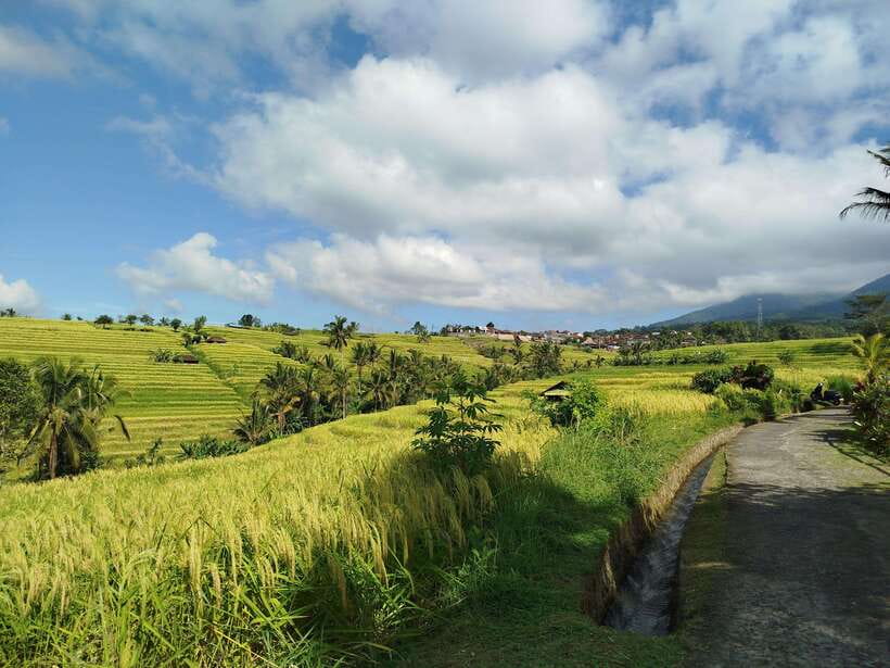 Bali: Lake Temple, Jatiluwih Rice Terrace & Waterfall Tour - Twin Lake View Point: Lake Buyan and Tamblingan in half an hour