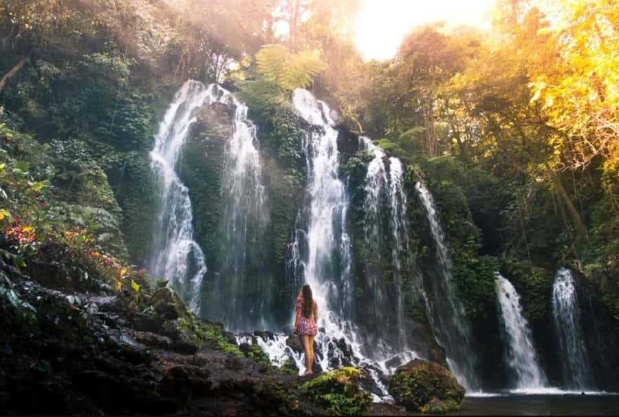 Bali: Leke Leke, Munduk, & Banyumala Waterfalls Private Tour - Key highlights that make this tour worth your time