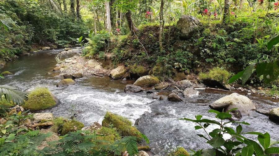 Bali: Leke Leke, Munduk, & Banyumala Waterfalls Private Tour - Price and value: why $45 can make sense for a full waterfall day