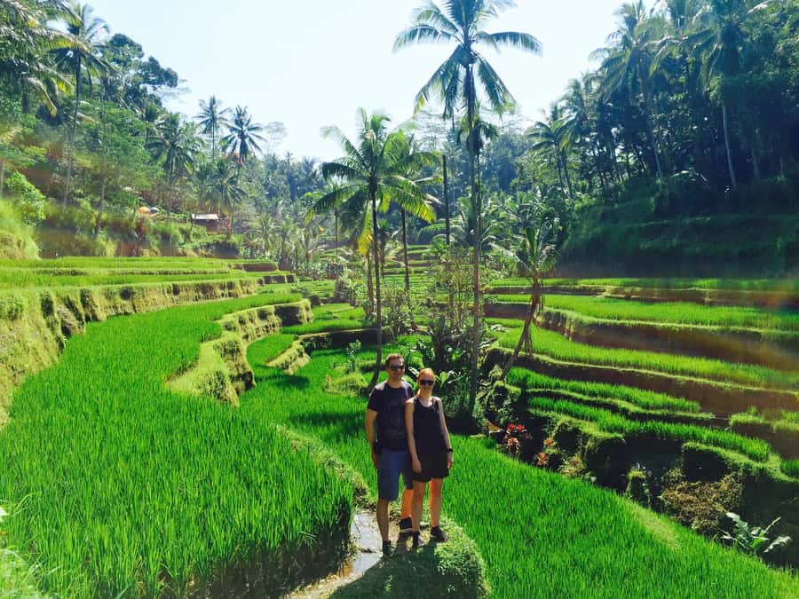 Bali: Leke-Leke Waterfall, Monkey Forest & Jungle Swing Tour - Pickup across Bali, plus a comfort-first ride