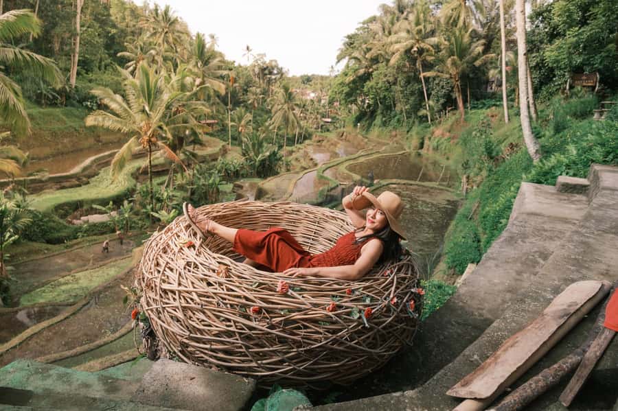 Bali: Leke-Leke Waterfall, Monkey Forest & Jungle Swing Tour - Stop 4: Tegallalang rice terraces, then the jungle swing