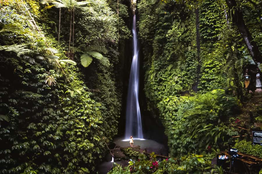 Bali: Leke-Leke Waterfall, Monkey Forest & Jungle Swing Tour - Price and value: what $36 buys you