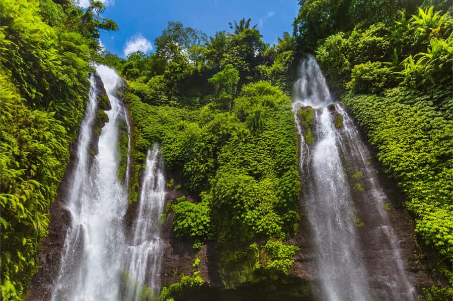 Bali: Lovina Beach and Bedugul Mountain Private Tour - Candi Kuning fruit and flower market, orchids and strawberries in the same breath