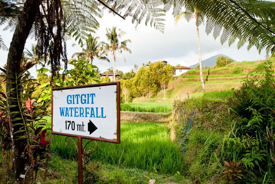 Bali: Lovina Beach and Bedugul Mountain Private Tour - The Gitgit waterfall rainforest walk, fresh air and real sound