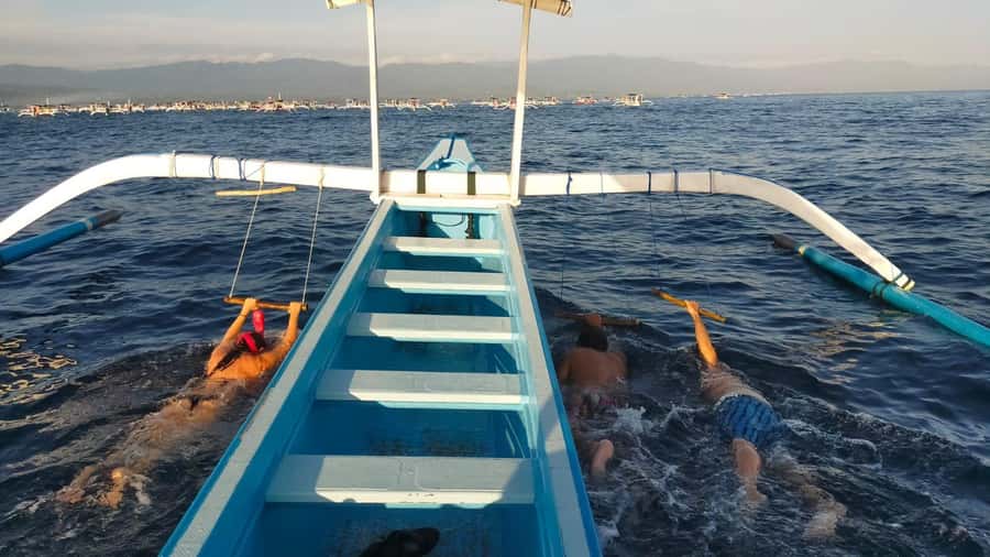 Bali: Lovina dolphin adventure with breakfast and snorkling. - Why Lovina dolphin time feels worth your early wake-up