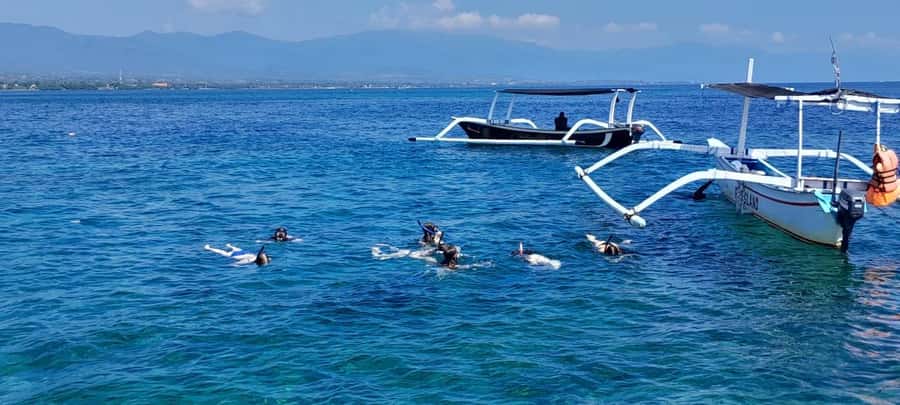 Bali: Lovina dolphin adventure with breakfast and snorkling. - Lovina Beach dolphin watching: close, safe, and very practical