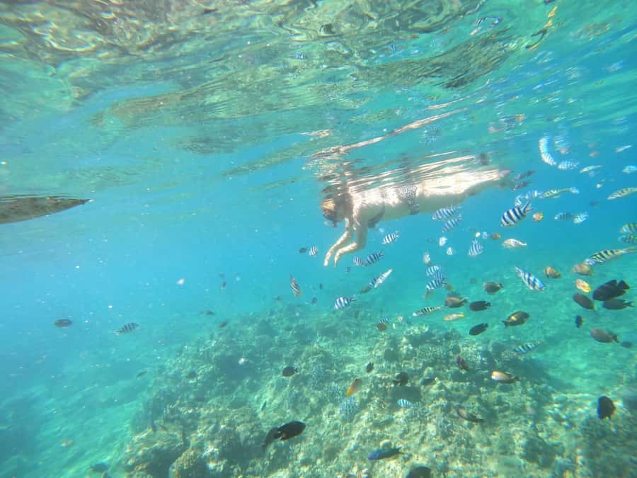 Bali: Lovina dolphin adventure with breakfast and snorkling. - Banyumala Twin Waterfalls: why this stop makes the tour feel complete