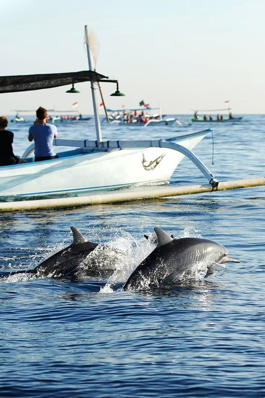 Bali: Lovina dolphin adventure with breakfast and snorkling. - Price and value: is $26 a smart deal or a compromise?