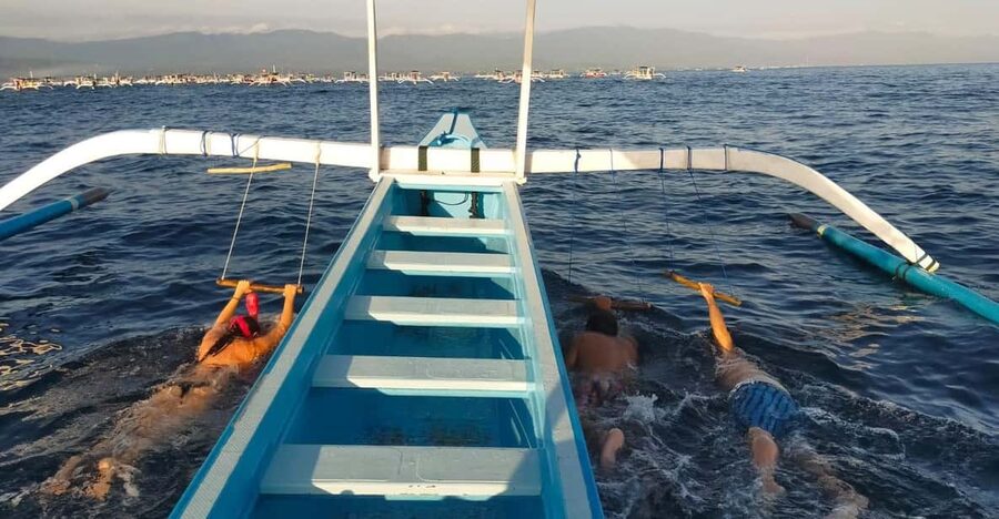 Bali: Lovina dolphin adventure with breakfast and snorkling. - Who should book this Lovina dolphin and snorkel day