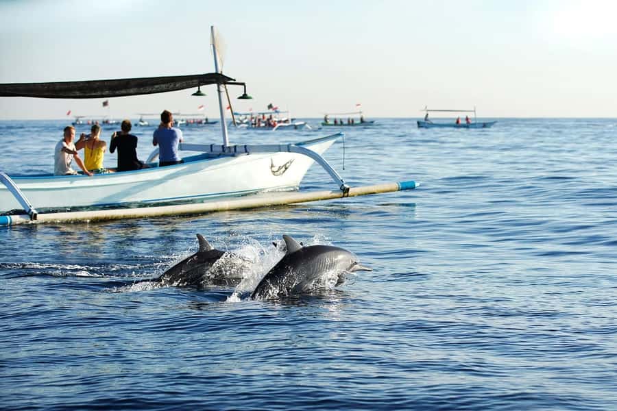 Bali: Lovina dolphin adventure with breakfast and snorkling. - Pickup routes, morning timing, and how long this day really is