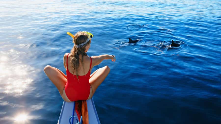 Bali/Lovina: Dolphin Snorkeling, Swimming & Waterfall Tour - Key things to know before you go