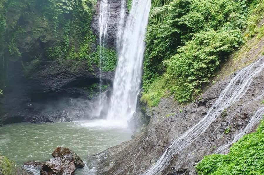 Bali/Lovina: Dolphin Snorkeling, Swimming & Waterfall Tour - Tips that make the difference on a dawn dolphin day