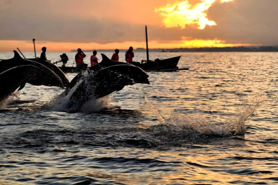 Bali/Lovina: Dolphin Snorkeling, Swimming & Waterfall Tour - Lovina Sunrise: Why you start before breakfast