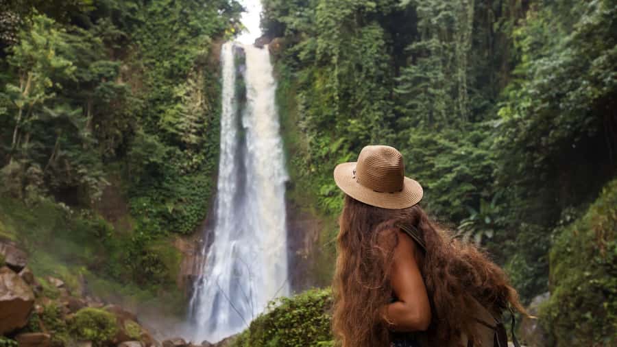 Bali/Lovina: Dolphin Snorkeling, Swimming & Waterfall Tour - Holding the plank and swimming nearby: what to expect