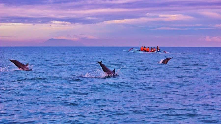 Bali/Lovina: Dolphin Snorkeling, Swimming & Waterfall Tour - Waterfall add-ons: Git Git, Handara Gate, and Ulun Danu Beratan