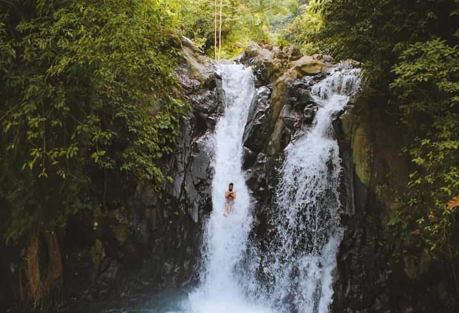 Bali/Lovina: Dolphin Snorkeling, Swimming & Waterfall Tour - Price and what you get for $19 in Bali money terms