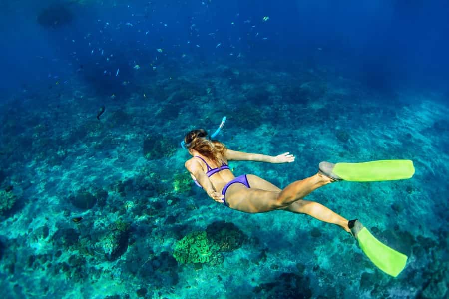 Bali/Lovina: Dolphin Snorkeling, Swimming & Waterfall Tour - Duration, meeting points, and how to plan your day