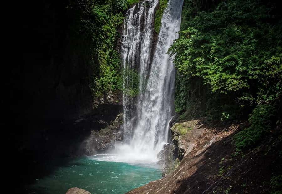 Bali/Lovina: Dolphin Snorkeling, Swimming & Waterfall Tour - Who this tour suits, and who should skip it