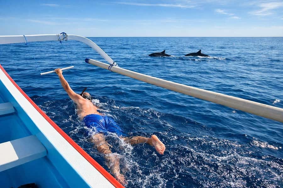 Bali/Lovina: Guided Dolphin Watching & Sunrise Boat Snorkel - Lovina sunrise: why this timing matters for dolphin watching