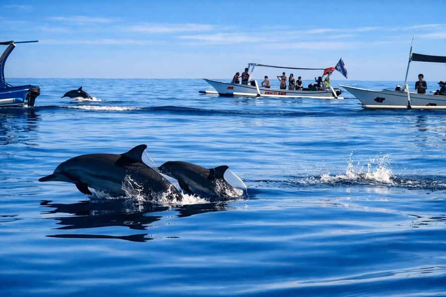 Bali/Lovina: Guided Dolphin Watching & Sunrise Boat Snorkel - Getting picked up in Bali: what travel time feels like
