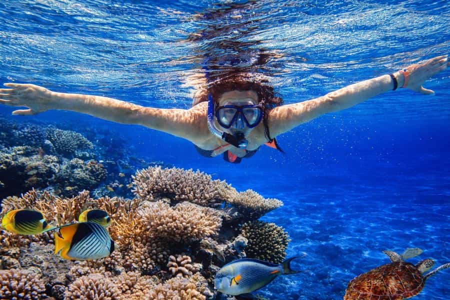 Bali/Lovina: Guided Dolphin Watching & Sunrise Boat Snorkel - Price and value: what $18 covers and why it can be a good deal