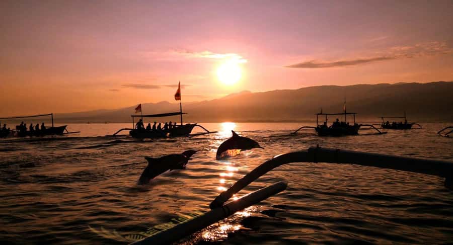 Bali: Lovina Swimming With Dolphine & Snorkeling Tour - Key things to know before you go