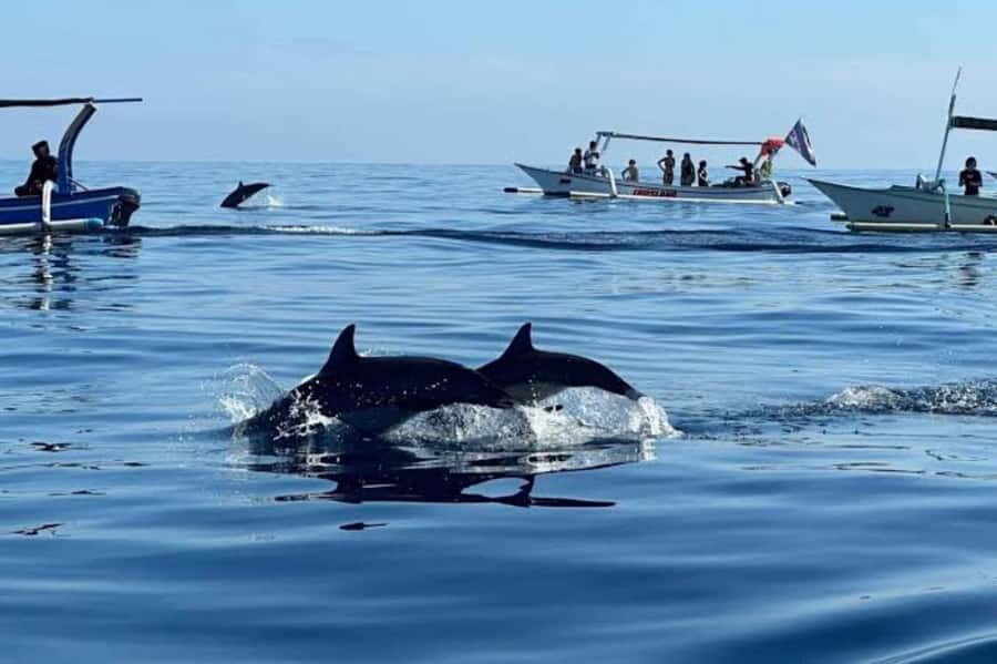 Bali: Lovina Swimming With Dolphine & Snorkeling Tour - The boat ride over northern Bali waters