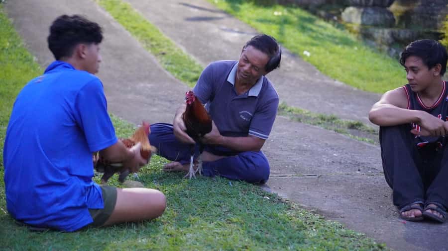 Bali: Magical Fireflies Tour in Taro Village with Dinner - Dinner under the stars: what you’re really paying for