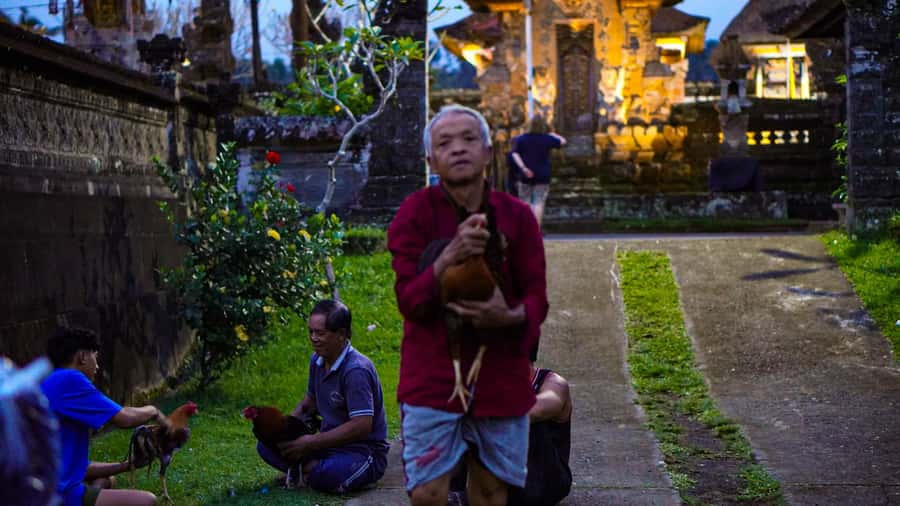 Bali: Magical Fireflies Tour in Taro Village with Dinner - Practical tips that will save your night
