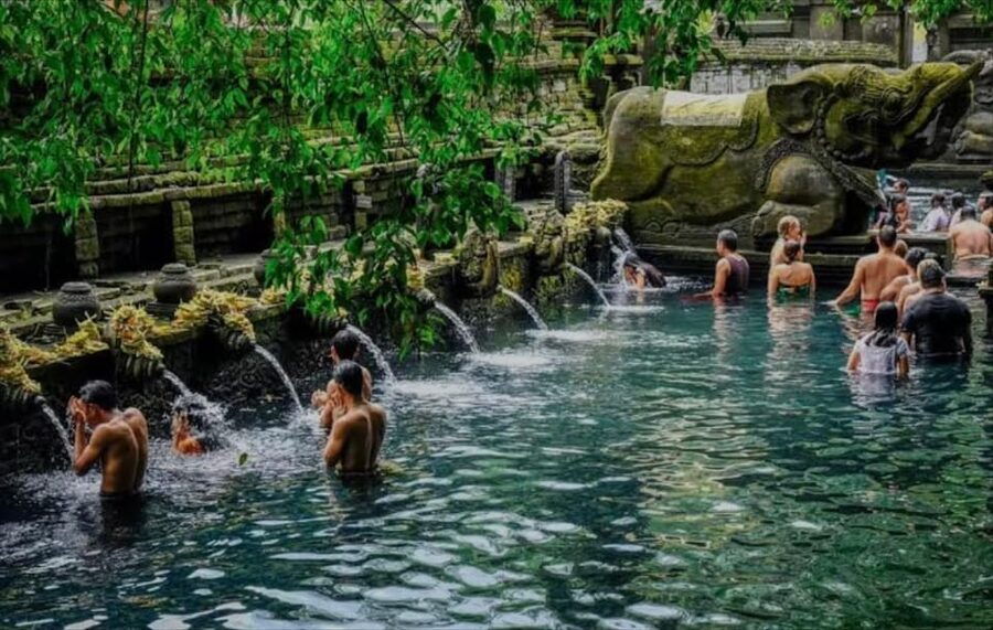 Bali: monkey forest, rice terrace, water temple, waterfall - Tirta Empul water temple: purification that feels real, not just ceremonial