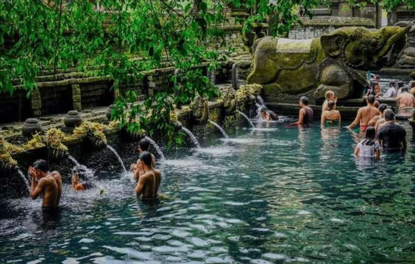 Bali: monkey forest, rice terrace, water temple, waterfall - Coffee and tea stop: small break, big payoff