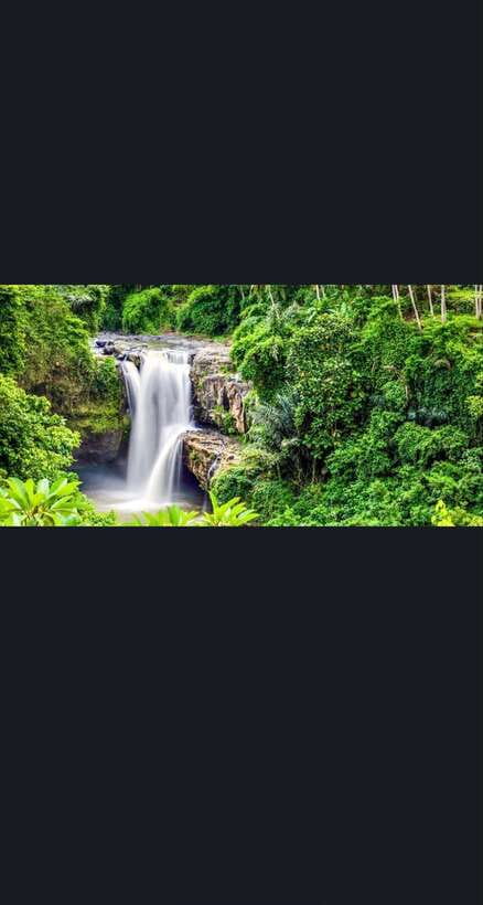 Bali: monkey forest, rice terrace, water temple, waterfall - Tegenungan waterfall: 40 meters of views, with real safety needs