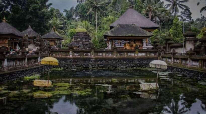 Bali: monkey forest, rice terrace, water temple, waterfall - Price and what you actually get for $25