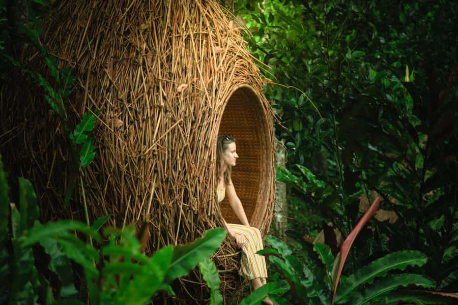 Bali: Monkey Forest, Tegalalang, Uluwatu & Kecak Dance Tour - Kecak Fire Dance: what you’ll see, and how to manage the crowd