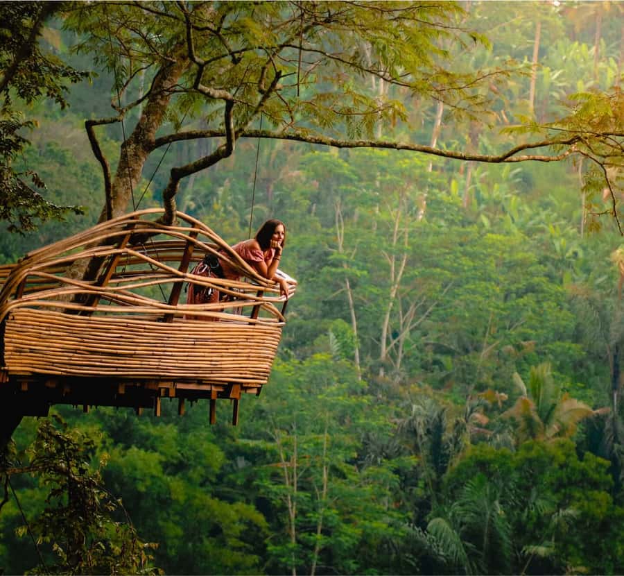 Bali: Monkey Forest, Tegalalang, Uluwatu & Kecak Dance Tour - Monkey Forest Sanctuary: walking paths, temples, and monkey rules