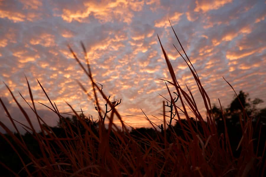 Bali: Mount Batur Entry Ticket on a Guided Hike or Jeep Ride - Key highlights you should care about